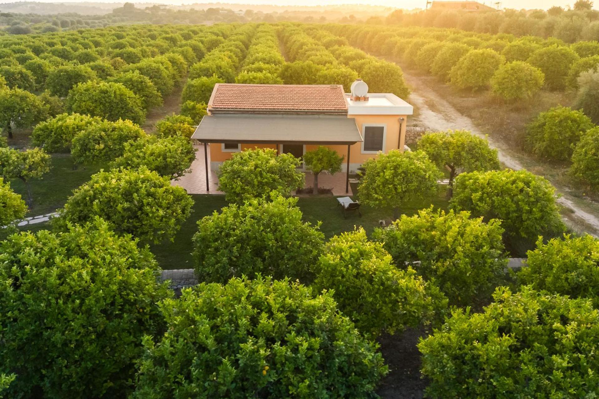 Fiore Di Vendicari B&B - Sicilian Charme, Lemon Grove And Sea Noto Eksteriør billede